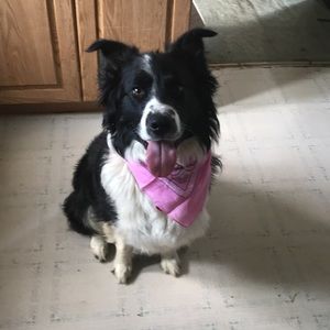 Meet your Posher, Rae-lynn